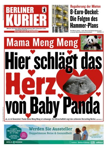 Berliner Kurier Abo