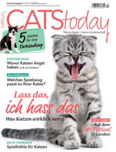 CATS Today Abo