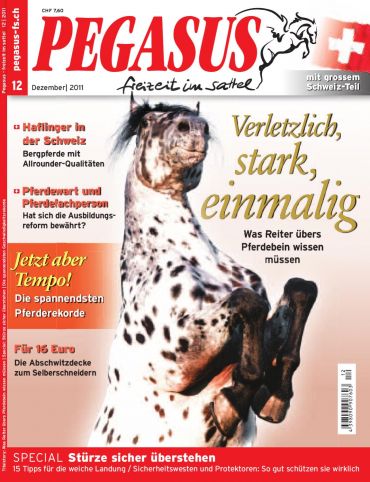 PEGASUS freizeit im sattel Abo