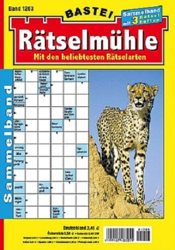 Rätselmühle Abo