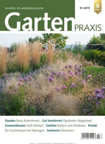 Gartenpraxis Abo
