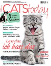 CATS Today Abo