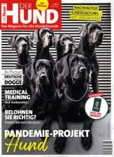Der Hund Abo