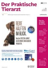 Der Praktische Tierarzt Abo