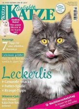 Geliebte Katze Abo