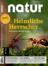 Natur Abo