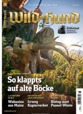 Wild und Hund Abo