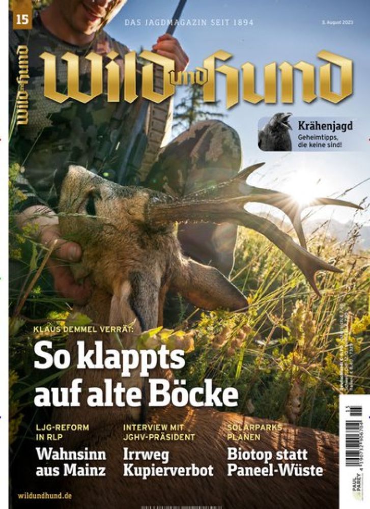 Wild und Hund Abo für 124,00 € mit 44,64 € Rabatt bestellen Abo24