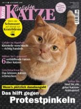 Geliebte Katze