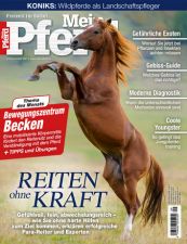 Mein Pferd