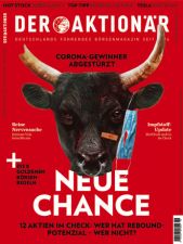 Der Aktionär