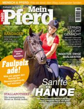 Mein Pferd