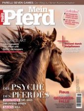 Mein Pferd