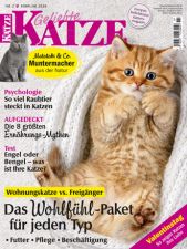 Geliebte Katze