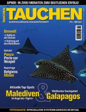 Tauchen