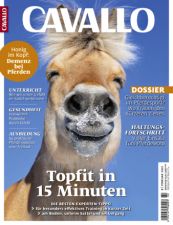 Cavallo