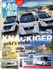 Auto Bild Reisemobil