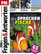 PM Schneller schlau