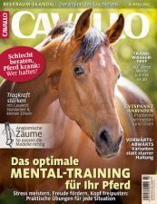 Cavallo