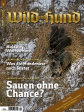 Wild und Hund