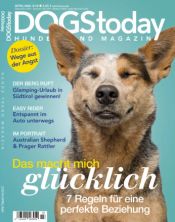 DOGS today