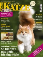 Geliebte Katze