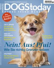 DOGS today