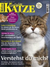 Geliebte Katze