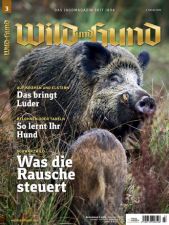 Wild und Hund