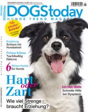 DOGS today