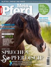 Mein Pferd