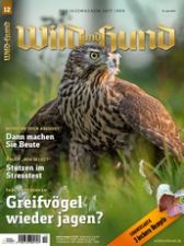 Wild und Hund