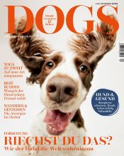 Dogs