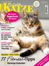 Geliebte Katze
