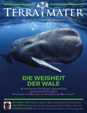 Terra Mater