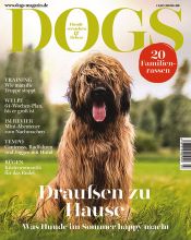 Dogs