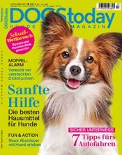DOGS today