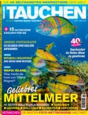 Tauchen