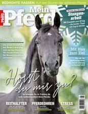Mein Pferd