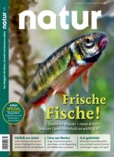 Natur