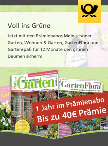 Dp Leserservice Mit Erhohten Pramien Bei Gartenzeitschriften Die Gartensaison Eroffnen